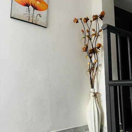 Arricrietti House * Noto